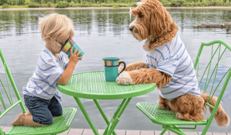 Un garçon de 3 ans forme un lien adorable avec le chien de sauvetage de sa famille d’accueil