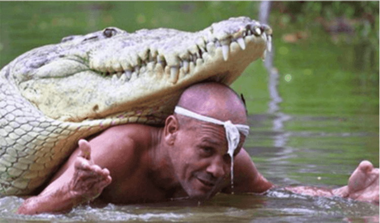 L’homme a sauvé un crocodile mourant et ils sont restés meilleurs amis pendant plus de 20 ans