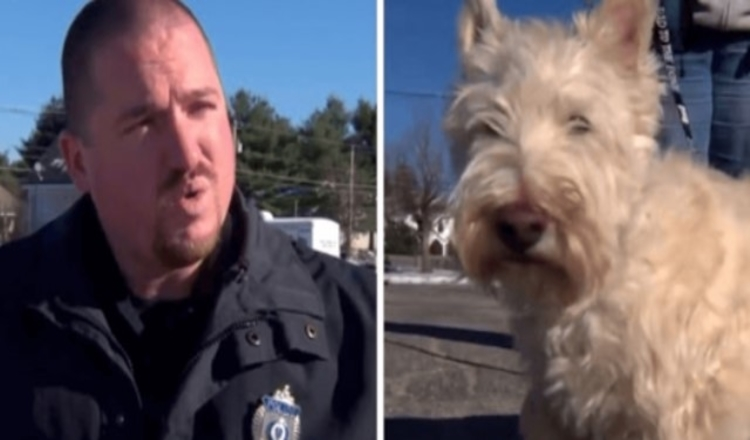 Un petit chien court vers le flic et commence à aboyer bruyamment, supplie le flic de le suivre