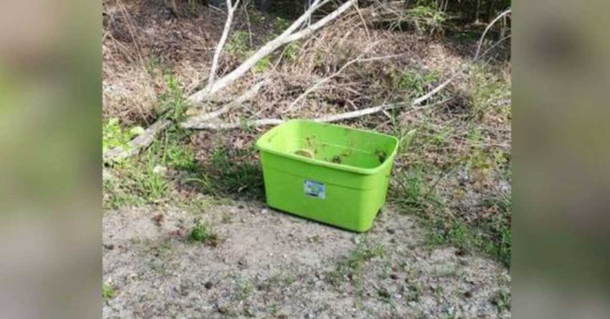 Les gens trouvent la chose la plus triste dans cette boîte lors d’une journée à 90 degrés