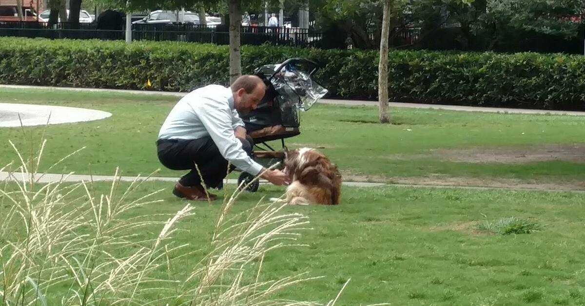 Le propriétaire sort son chien aveugle de la poussette, pensant que personne ne le regardait quand il se penchait