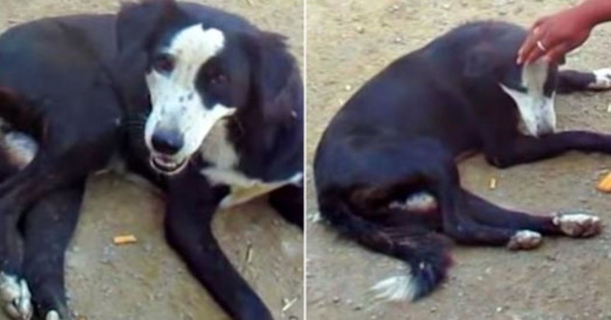 Elle couvre sa douleur avec un sourire pour qu’il la caresse et cache un trou béant dans son ventre