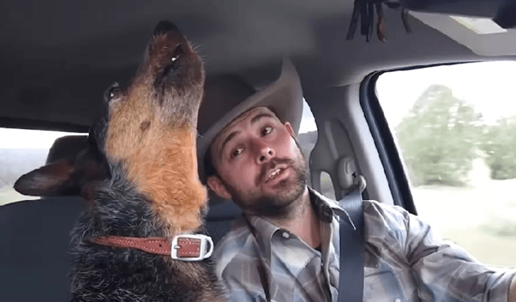 Un chien chante un doux duo avec un cow-boy après la diffusion de sa chanson préférée