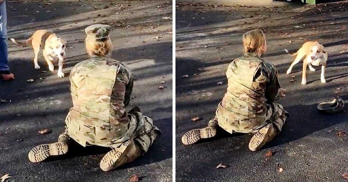 Quand son chien la rejette à son retour, une mère de l’armée s’énerve et enlève son chapeau